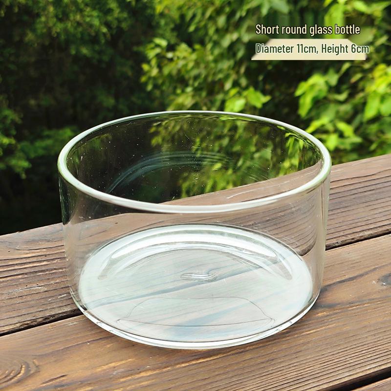 Moss Micro Landscape Glass Bottle: Creative Mini Plant DIY Paludarium