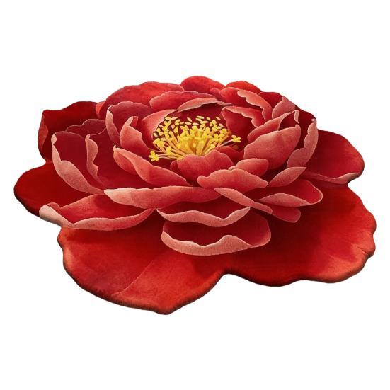 3D Визуальный Ковер с Цветами Реалистичный Цветочный Коврик Нескользящий Впитывающий Коврик для Ванной для Спальни Гостиной Игровой комнаты Декор Входа