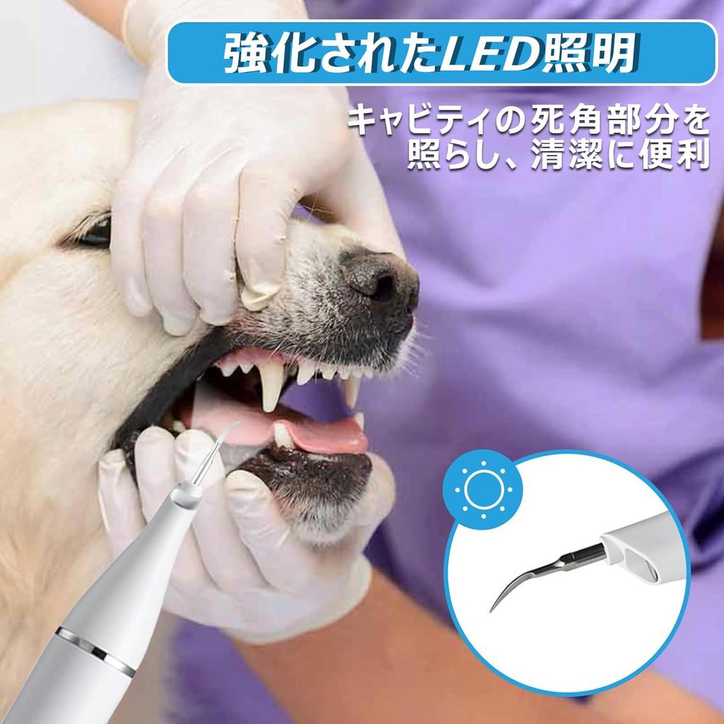 MFDXWCV Dog Dog USB Dog Small IPX6 Cat Ultrasonic Cat For Both Cats and Dogs Toothbrush, Toothbrush, Rechargeable, Toothbrush, Dogs, Waterproof,