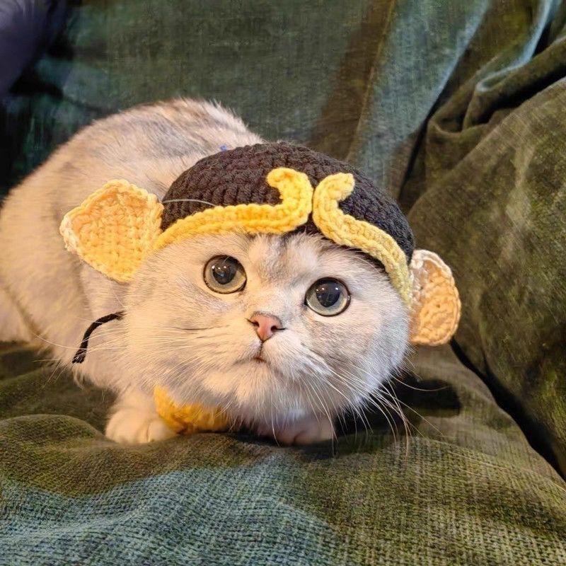 Весна Лето Шляпа для Кошки Эластичная Очаровательная Изящная Вязаная Шляпа для Питомца для Щенка Котят Реквизит для Вечеринки Фотосессии Декор Аксессуары для Кошки Высокое Качество