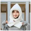 Hat, Scarf, One-piece Hat, Winter Fashion, Versatile, Female Adult Cycling, Warm and Plush Thick Ear Protection, Windproof Hat