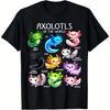 Kids T-Shirt Crew Neck Short Sleeves All Season Casual 3d Print T-Shirt with Applique Sporty Style