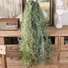 Элегантная искусственная лоза трава суккуленты пластиковая потолочная подвесная лоза свадебная вечеринка стена балкон