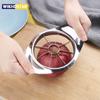 Stainless Steel Apple Slicer Fruit Cutter Stainless Steel 3-in-1 Stainless Steel Apple Corer Peeler Apple Cutter