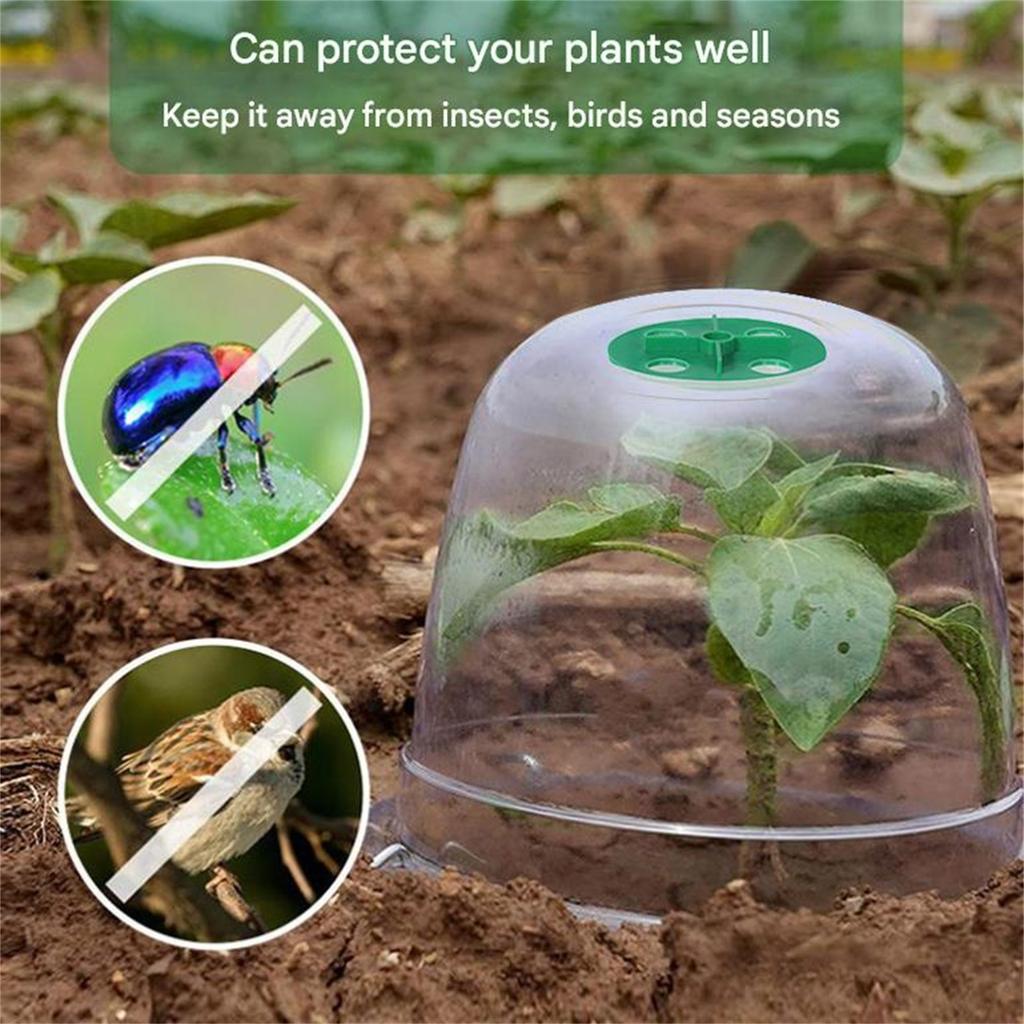 Garden Cloche Plant Bell Cover 6 Pack Plant Cover Ground Securing Peg