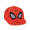 Boys Superhero Snapback Cap