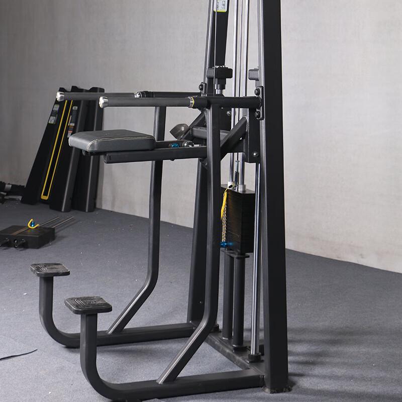 Bingyu Professional Strength Training Dip Station