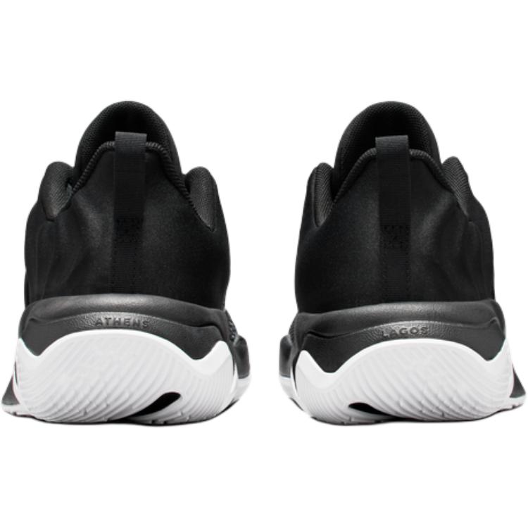 Nike Giannis Immortality 4 GS Черный Волк Серый Белый Детские Кроссовки IH7664-004