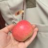 Decoration Fruit Shaped Car Ornament Simulated Design Car Hanging Ornament  Dashboard Decor