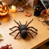 Detailed Spider Ornament for Display Realistic Figurine, Lifelike Fake Tarantula Figure, Plastic Animal Arachnid Model Halloween Prank Props,
