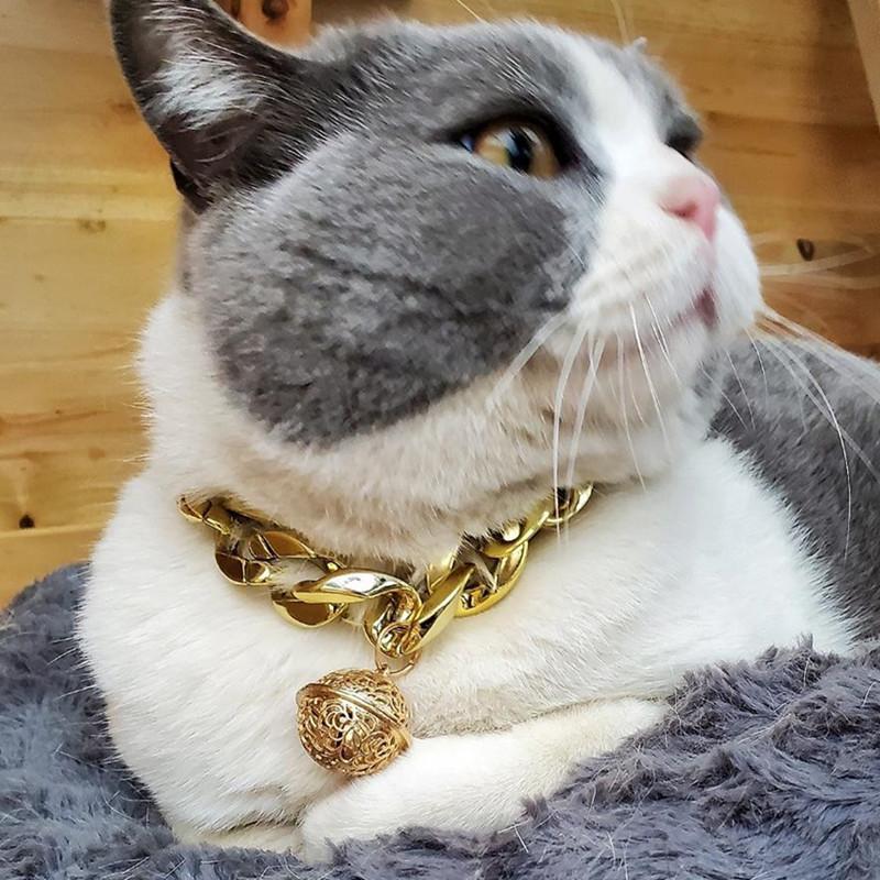 Dog Hollow Bell Pet Teddy Koji Fa Dou Bully Cat Gold Collar with Bell Plastic Big Gold Chain