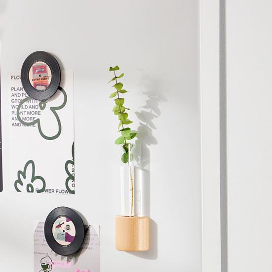 Гидропонные растения Ваза-пробирка Магнит на окно/холодильник Деревянная подставка Размножение растений