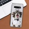 Chihuahua Puppy Teacup Dogs Phone Case For Samsung Galaxy M21 M12 M31S M32 M51 M52 Note 20 Ulte 10 Plus 9 8 J4 J6 + J8 M11 F52 F