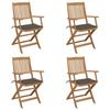 VidaXL Set of 4 Folding Garden Chairs with Cushions, Patio Seats, Dining Chairs, Patio Furniture 3064625