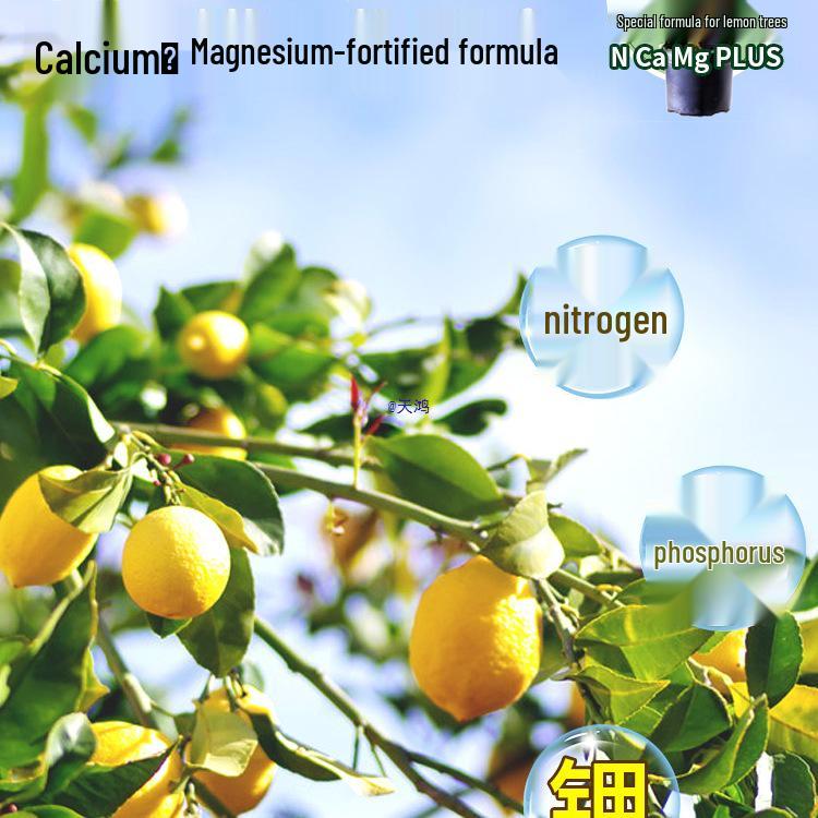 Питательный раствор без разбавления для любящих кислую почву бонсай и зеленых растений