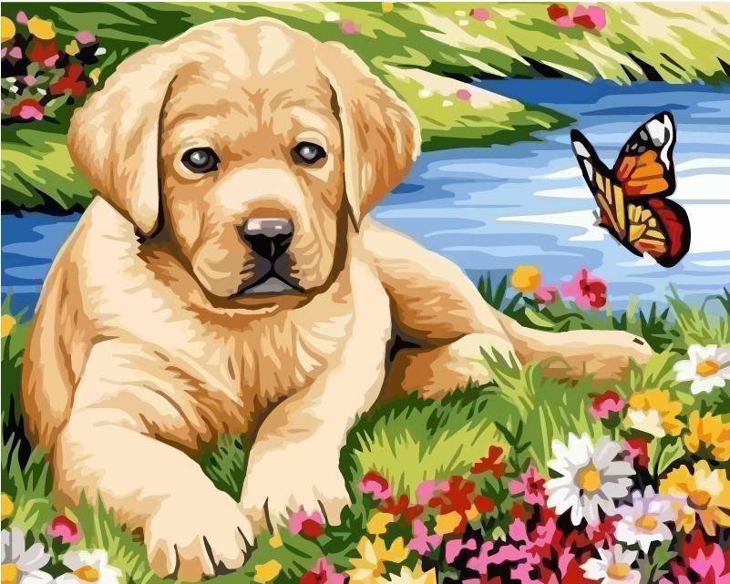 40x50 см живопись по номерам собака рисунок на холсте ручная роспись живопись искусство подарок DIY фотографии по номерам наборы животных домашний декор