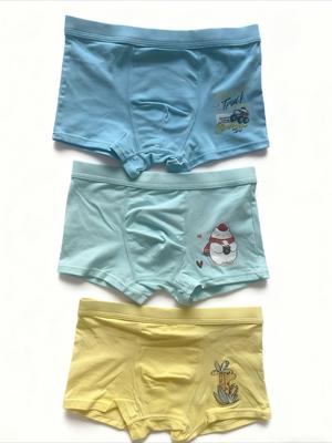 Мальчики (от 4-х лет) – Нижнее белье для мальчиков