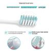 LengSuanLing Anti-Sensitive Gum Care Toothpaste & Brush Set