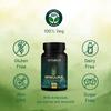 Капсулы Ambrosial Spirulina | Высокая дозировка - 500 мг | Сертифицированные таблетки спирулины | Без добавок и 100% веганский продукт (Упаковка 1-60 капсул)