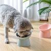 45 Degree Anti-overturning for Cats Puppy Pet Feeder Bowl Pet Bowls Food Water Bowl Pet Products Dog Elevated Bowls Feeding Cup