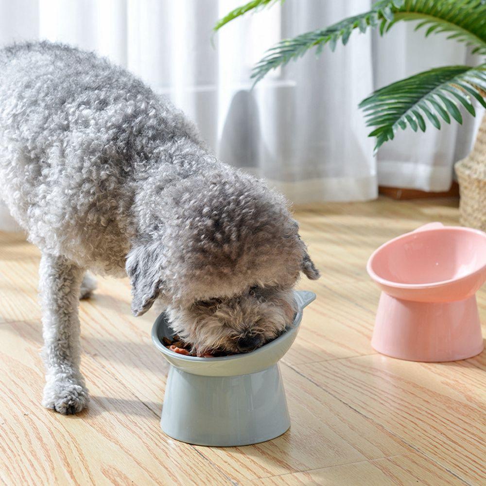 45 Degree Anti-overturning for Cats Puppy Pet Feeder Bowl Pet Bowls Food Water Bowl Pet Products Dog Elevated Bowls Feeding Cup