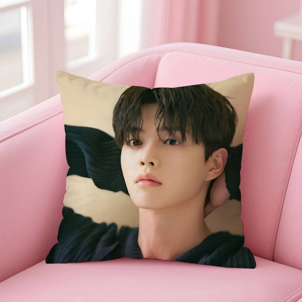 Korean s-Song k-Kang Pillow Case Pattern Printing Pillowcase Living Room Sofa Cushion Cover Bedroom Room Decor