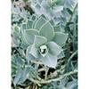 Embroidery Diamond Full 5d Diy Round Orchid Cross Stitch Painting Flowers Mosaic Home Decoration Gift