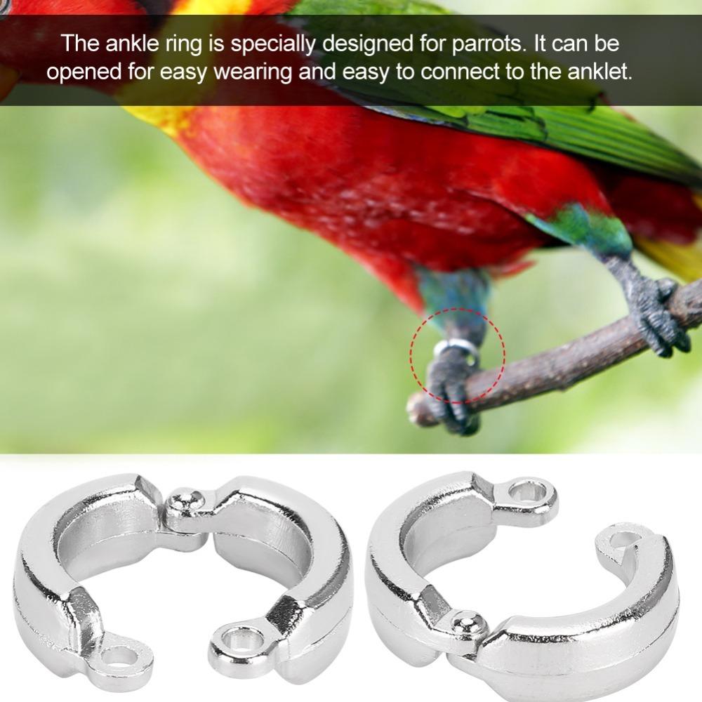 10pcs Outdoor Fly Training Activity Bird Leg Rings Bird Identification Bands For Parrot