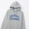 Champion Basic Long Sleeve Hooded Sweatshirt with Graphic Oxford Size XL Men's Fleece-Lined Print, Gray, (C3-Z108)
