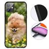 Pomeranian Dog Pet Animal Phone Cover for Apple iPhone 12 13 Mini XS 11 Pro Max 7 8 Plus + XR 8+ X SE 2020 SE3 Casing Coque Case