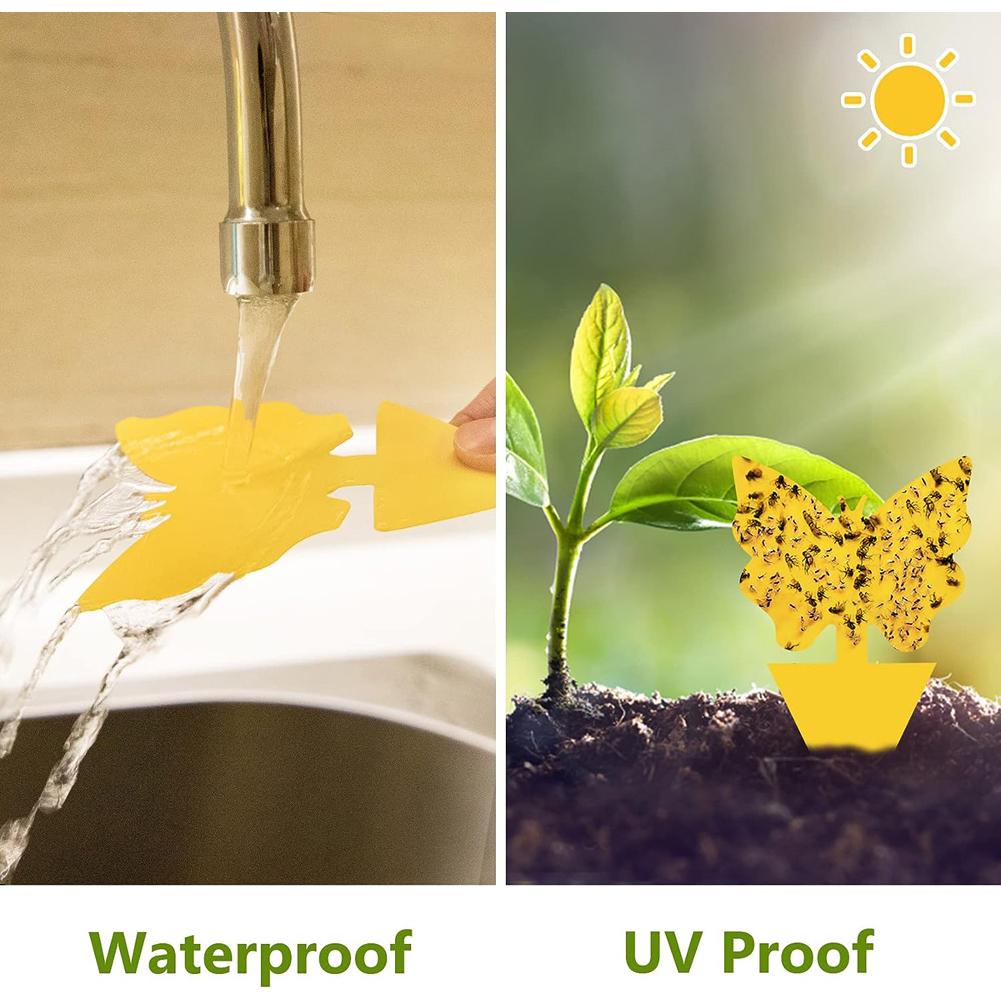 Ловушки для насекомых Защищают растение Двусторонние ловушки для мошек Нетоксичные и без запаха Липкие доски Ловушки для садовых растений Кухни