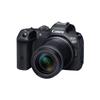 Canon Профессиональная беззеркальная камера EOS R7 (Китайская версия)