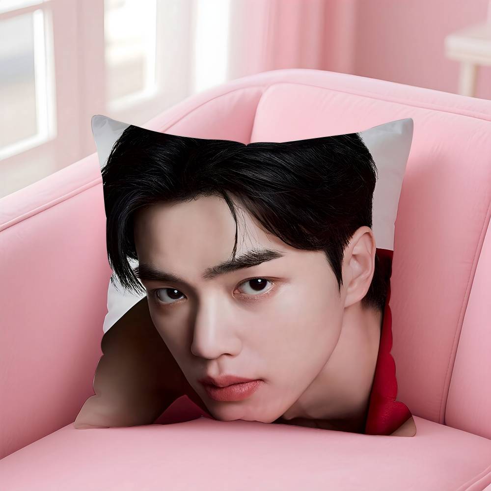 Korean s-Song k-Kang Pillow Case Pattern Printing Pillowcase Living Room Sofa Cushion Cover Bedroom Room Decor