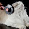 Расчески для кошек и собак Расчески с иглами для домашних животных Расчески для чистки волос Расчески для удаления волос Очистители и косметические товары