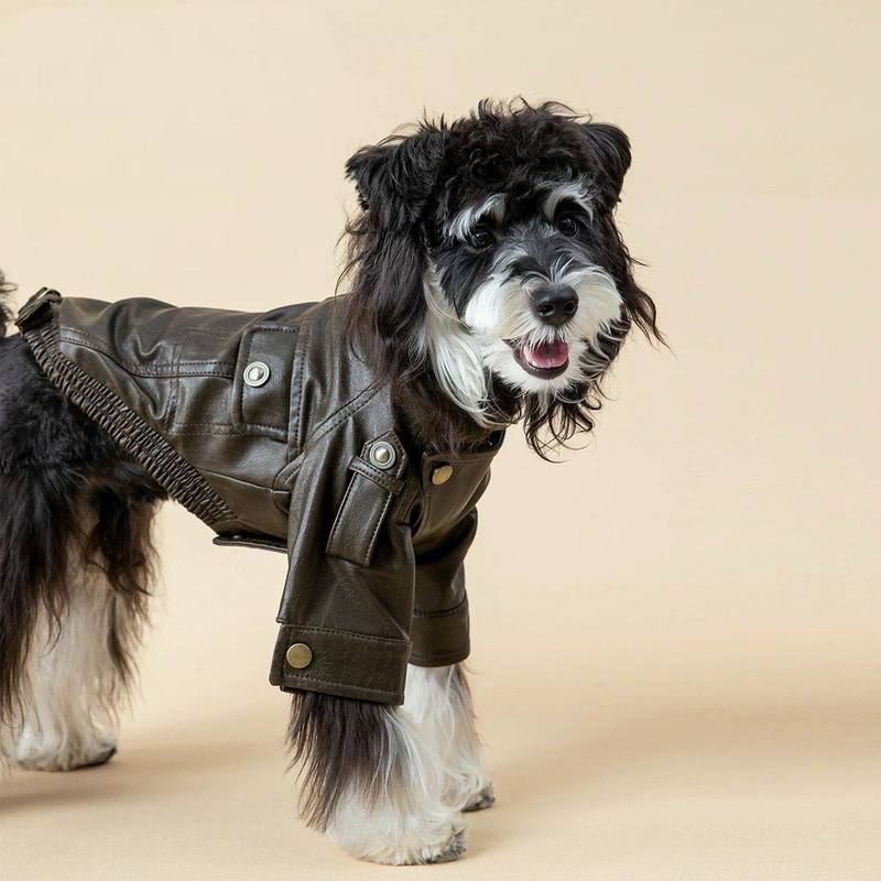 BXX Retro Motorcycle Pet PU Leather Jacket, Cool Windproof Workwear Coat Autumn Winter Stylish Apparel for Medium Small Dogs Cat
