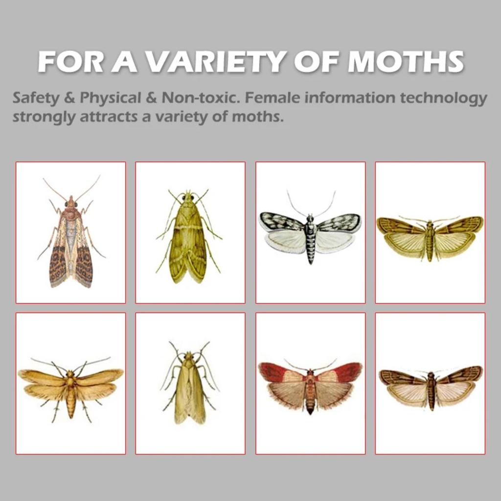 Дом для ловли моли Ловушка для моли Ловушка для моли Дом для ловли моли Дом для моли