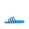 Шлепанцы adidas adilette W