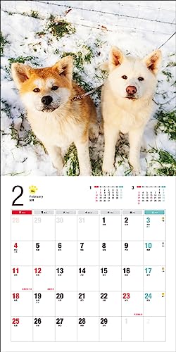 Календарь 2024 Акита-ину (Календарь Seibundo Shinkosha)