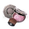 Prorance Sunny Glam Water Glow Pact Blusher, 17 Items