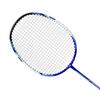 Hodtown Badminton Racket Set
