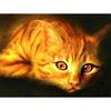 DIY Diamond Mosaic Animal Orange Cat Needlework Full Square Diamond Painting Cross Stitch Wall Art