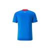 Puma Iceland Home 22/23 Replica Jersey V-Neck Logo Straight Short Sleeve T-Shirt Men Tops Blue 766067-01