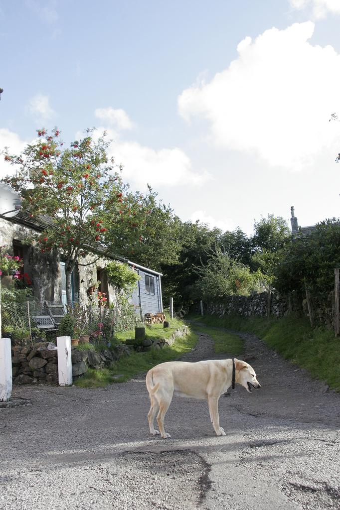 Canon EF Lens IS USM Digital Dedicated Zoom Lens Standard EF-S17-85mm F4-5.6