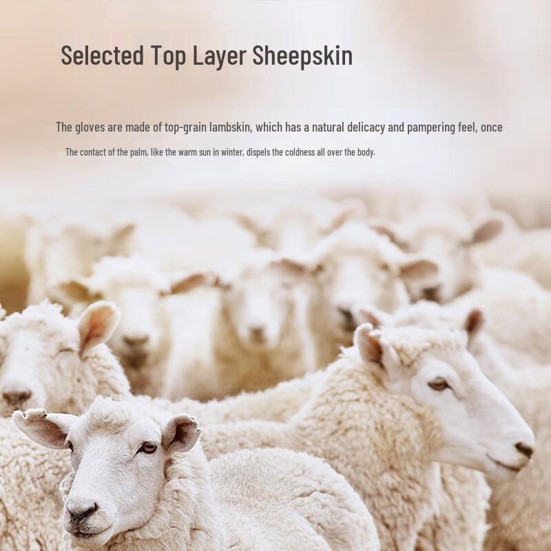 RED DRAGONFLY Women's Winter Fleece-Lined Sheepskin Leather Gloves