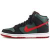 Sb Dunk High Resn 2009 313171-362