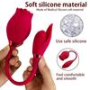 Rose Flower Dual-Head Vibrating Egg & Telescopic Massager