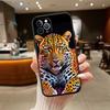 UP2 Animal Leopard New High-End Shell Phone Case for OPPO A3 Pro A72 A74 A76 A77 A77S A78 A79 A94 A95 A18 A40M A58