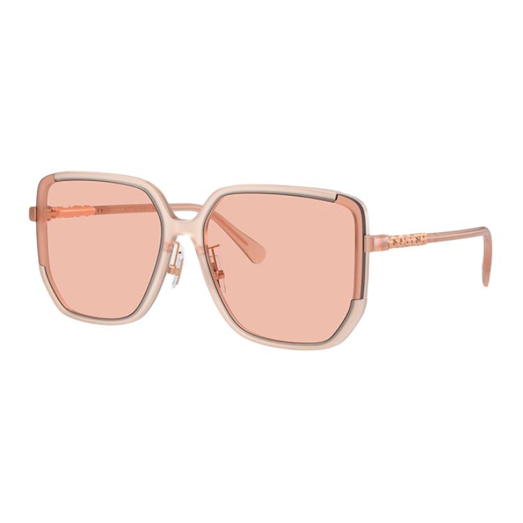 Coach Logo Lens Acetate Frame Irregular Sunglasses Women sunglasses 0HC8401D58098464