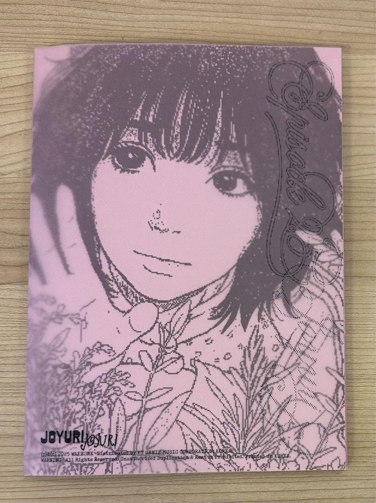 [Б/У] JO YURI Альбом Yonton Торговые карточки Все типы