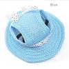 Headdress Pet Product Accessories Visor Hat Puppy Outdoor Pet Canvas Cap Dog Cap